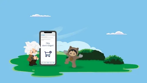 Reunite Customers With Abandoned Carts