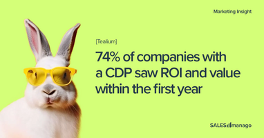 What Is A Customer Data Platform? CDP In A Nutshell part 1