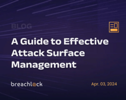 A Guide to Effective Attack Surface Management