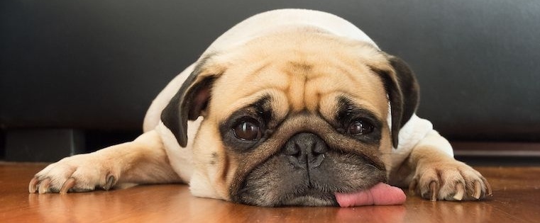 7 Things That Happen When You Hate Your Sales Job