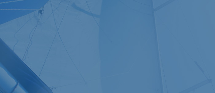 Defining Behavioral Segmentation with 7 Examples