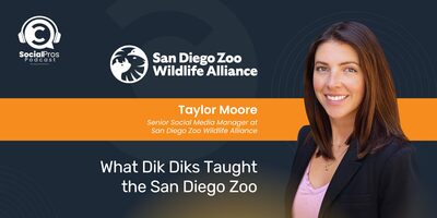 What Dik Dik's Taught the San Diego Zoo