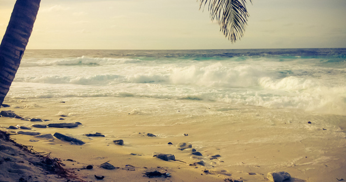 How Square Data Can Help You Relax on Your Vacation