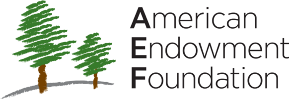 Act-On and American Endowment Foundation