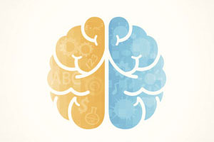 The Anatomy of an Effective Marketing Brain [Infographic]