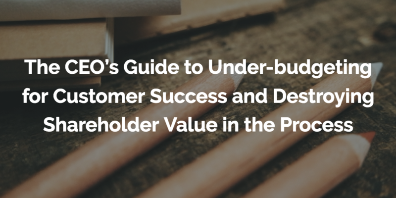 How to Avoid Under-budgeting for Customer Success Programs