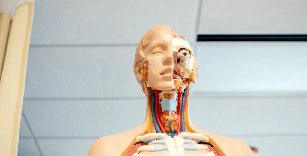 9 Helpful Apps for Nursing Students [2024]