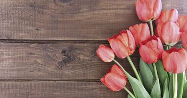 There's a whole lot of love for mom | dotdigital blog