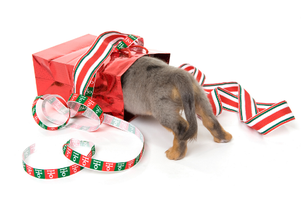 10 Last-Minute Holiday Gift Ideas for the Marketer on Your List