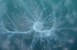 Conversion Copywriting: What Is It and How to Use It