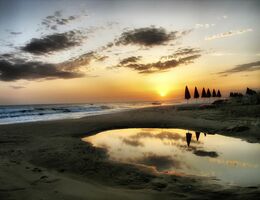 Morning Routines: How Successful People Start Their Day