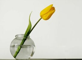 My Month of Minimalism Challenge