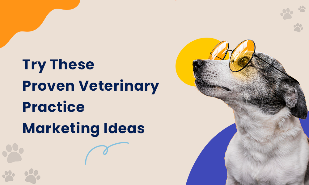 Nailing the Website: Try These Proven Veterinary Practice Marketing Ideas