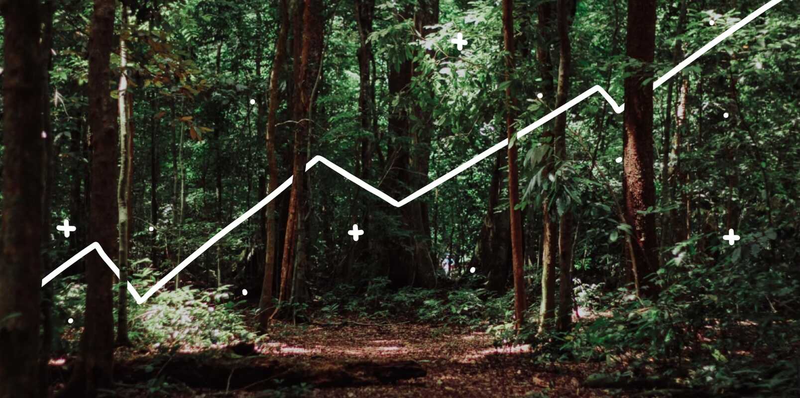 How to organically grow your Instagram: 5 proven ways to attract followers