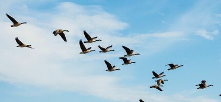 Migrating mobile app messaging providers can be painful. Enter: custom keys.