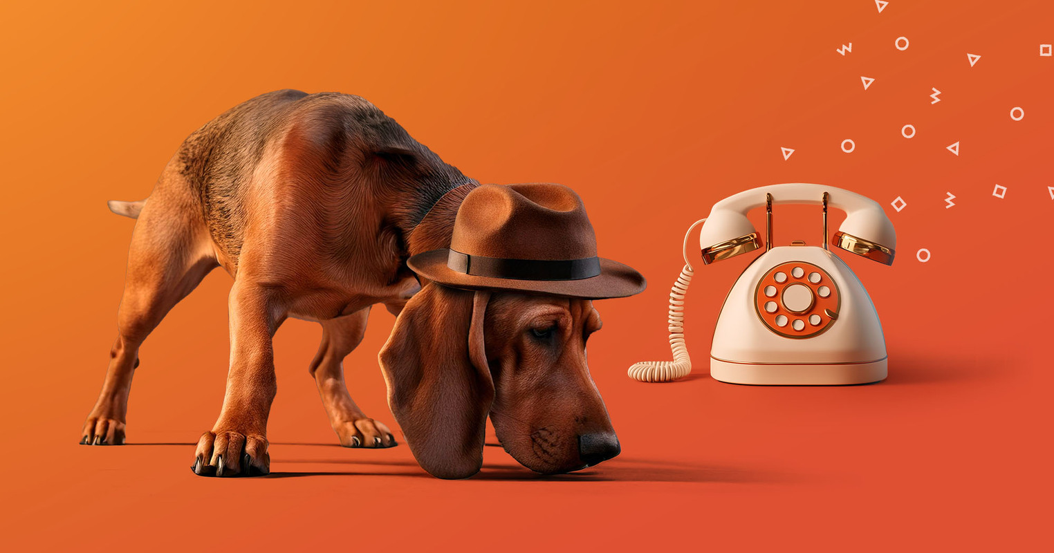 How to Find Someone's Phone Number (Absolutely for Free)