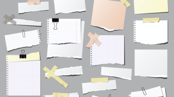 How to be an Exceptional Chief of Staff: Advice for Scaling Impact at Startups