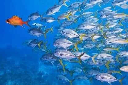 Eight Ways to Reach and Engage Industry Influencers | Nimble Blog