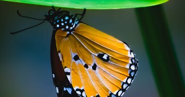 SaaS Demo Environments - A Maturity Model – Reprise