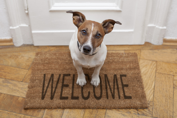 5 Best Practices & Examples For Great Welcome Emails