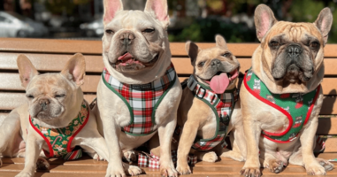 How Beast & Buckle gets 21% review submission rates over SMS