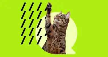 A new wave of community-based influence and distributed trust