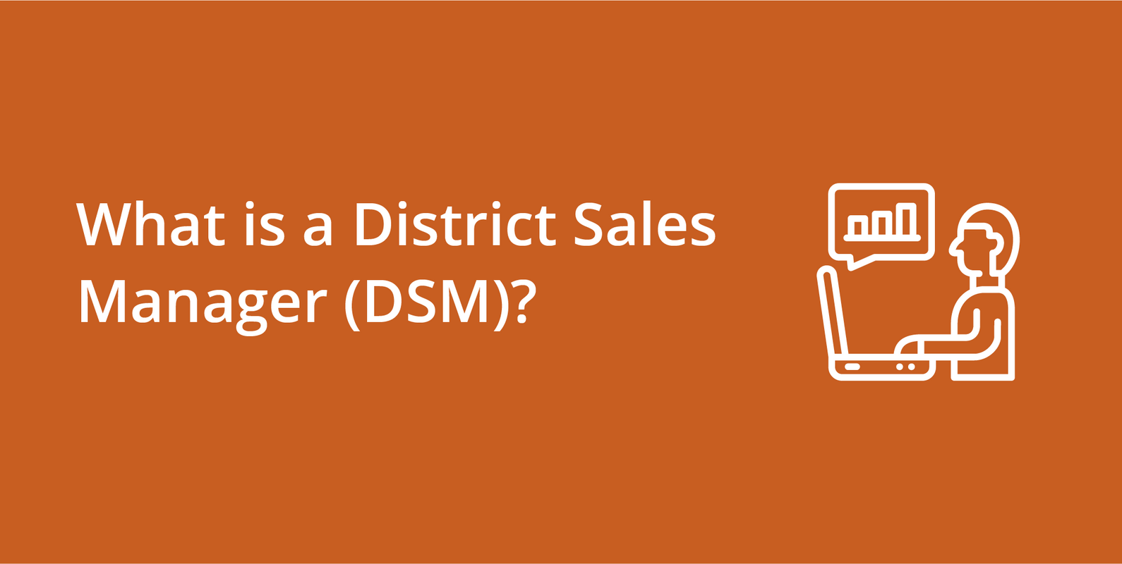 District Sales Manager (DSM)