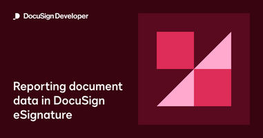 Reporting document data in DocuSign eSignature