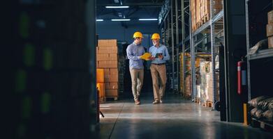 M&P Export | Case Study