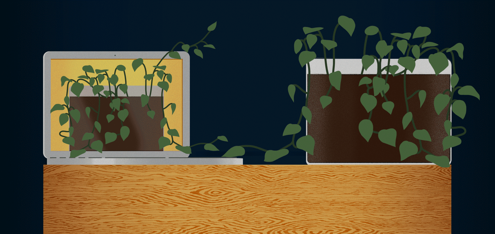 Building a long tail of evergreen content | Inside Intercom