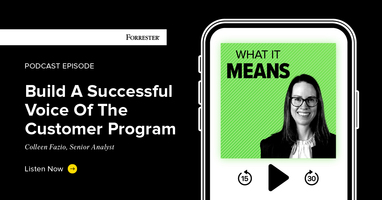 Build A Successful Voice Of The Customer Program