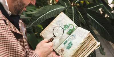 A Night at the Conservatory of Flowers' Murder Mystery Party