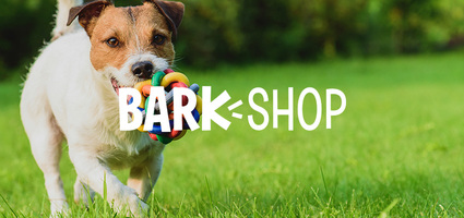 How BarkShop Creates Top Dog Email Segmentation