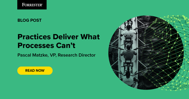 Practices Deliver What Processes Can't