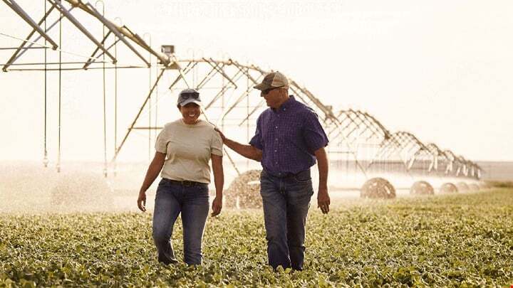 How Siteimprove partnered with Land O'Lakes to spur digital transformation and bring everyone together