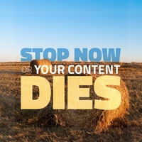 STOP Now or Your Content Dies