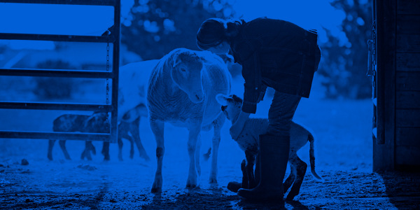 Kubota accelerates financing agreements with DocuSign eSignature