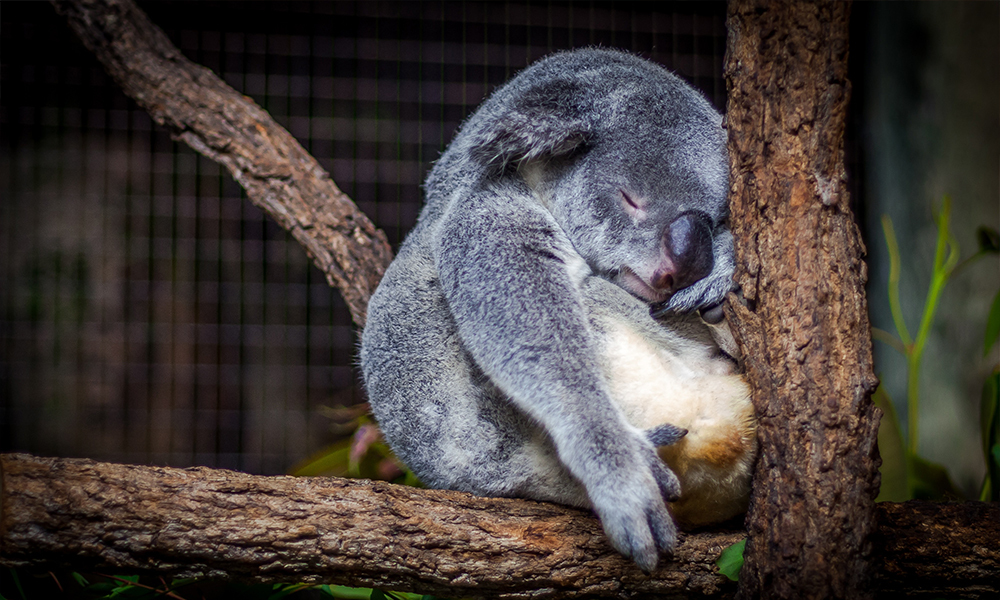 You take the good, you take the bad-you can overcome empathy exhaustion