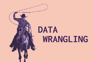 PIM Best Practices: 3 Rules for Effective Data Wrangling
