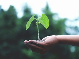 Green Optimization: Building a Sustainable Business, One Test at a Time