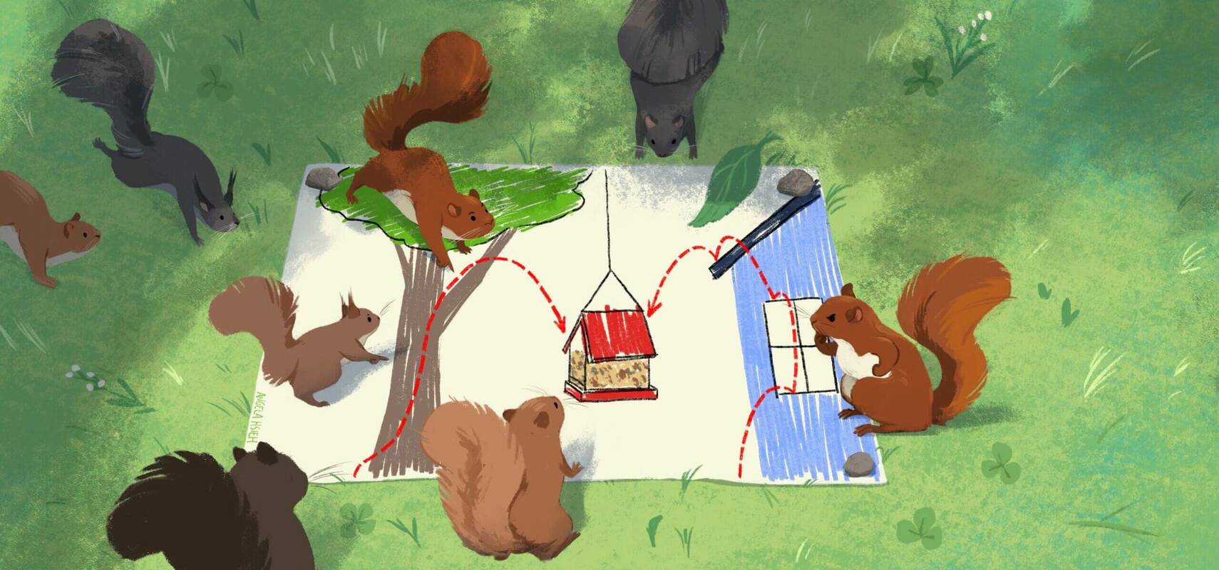 Give your support team more input with this decision-making framework