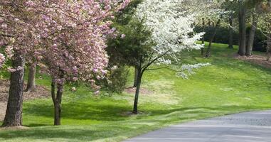 Text Marketing Makes Eco-Sense - Cut Down on Paper Usage with Text Marketing