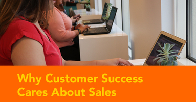 Bridging the Gap Between Sales and Customer Success: Why Customer Success Cares About Sales - How to Align Sales & Customer Success