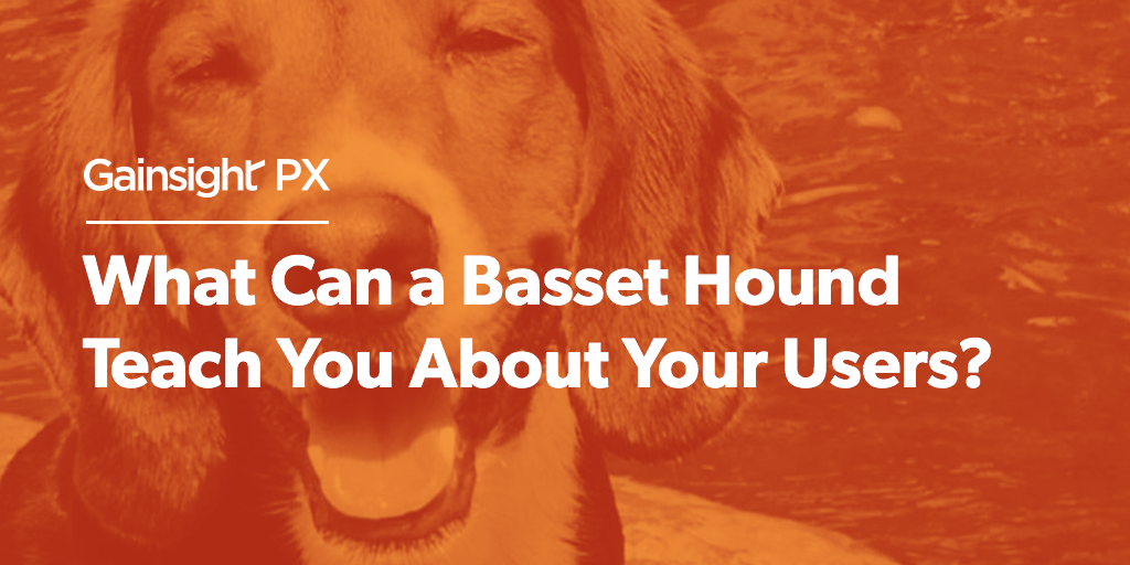 What Can a Basset Hound Teach You About Your Users? | Customer Success and Product Experience Software | Gainsight