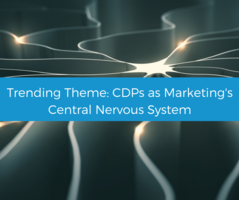 Seminar breakdown: The current CDP trends explained