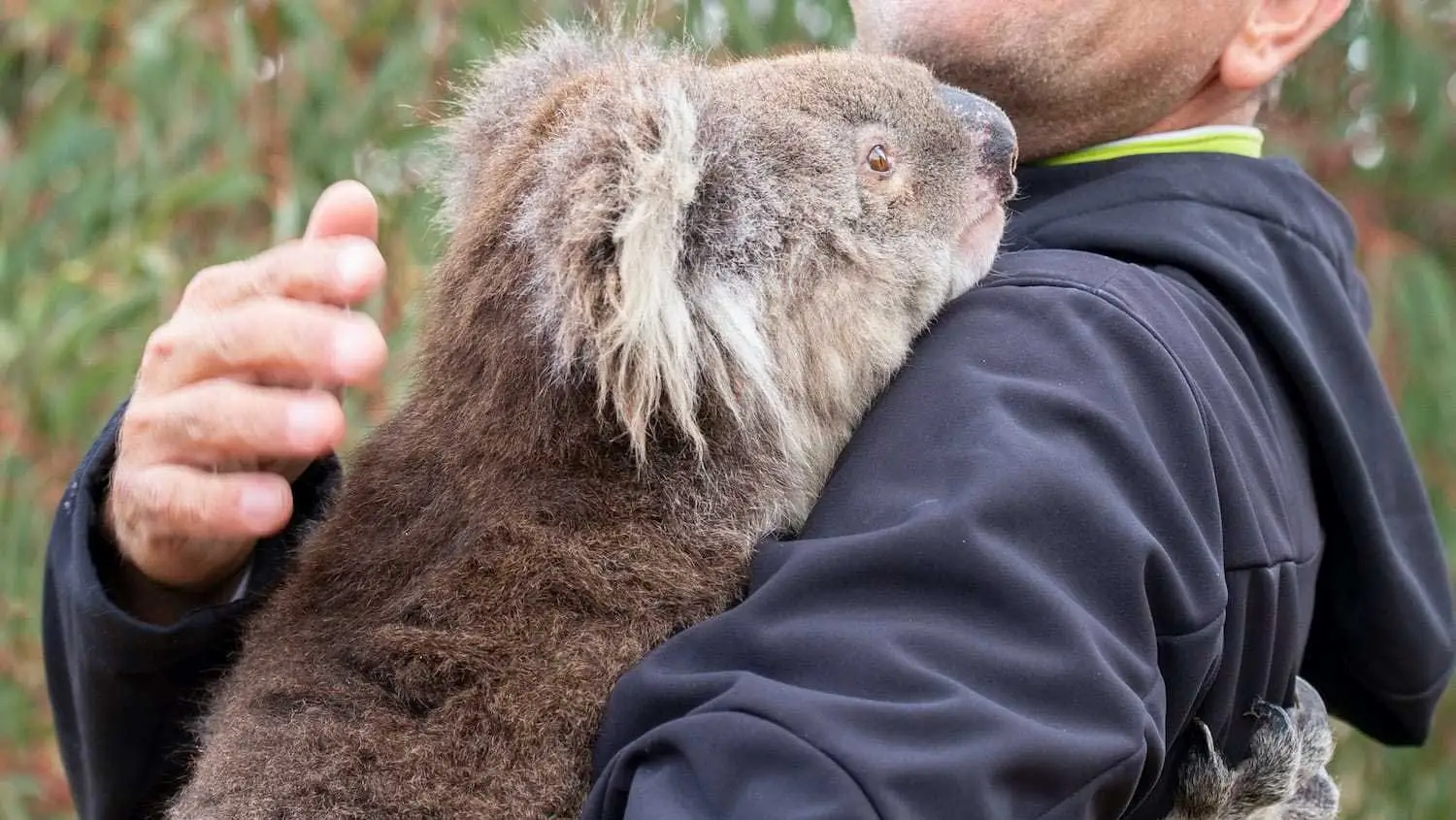 Purpose-Driven Work Helped PwC Guide Clients Through the Pandemic