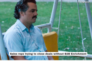 B2B Enrichment: A Guide to Enhanced Sales Performance