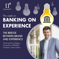 The Bridge Between Brand and CX with Chris Wallace – Blog