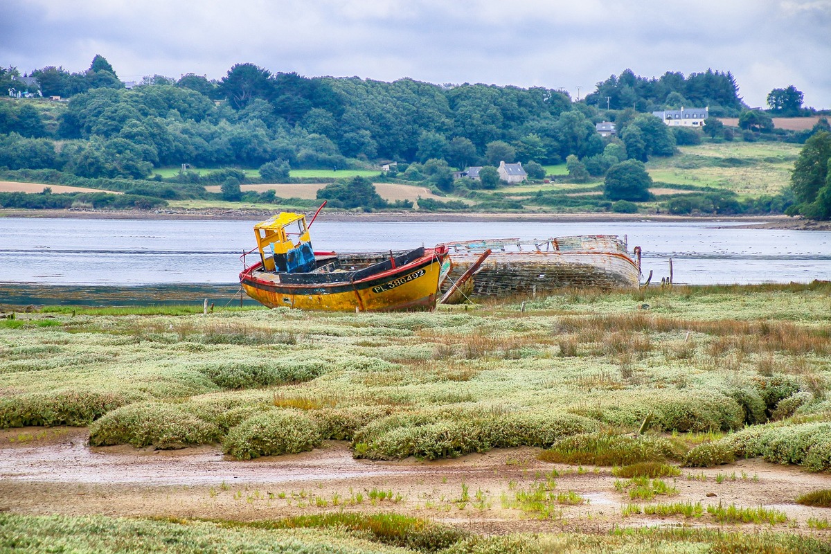 How Digital Business Analytics Can Jumpstart DevOps to Become BizDevOps - The New Stack