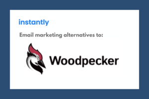 The Best Woodpecker Alternative of 2022